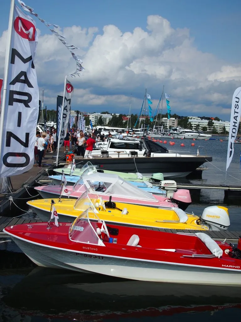 Marino Mustangs in a variety of colors.