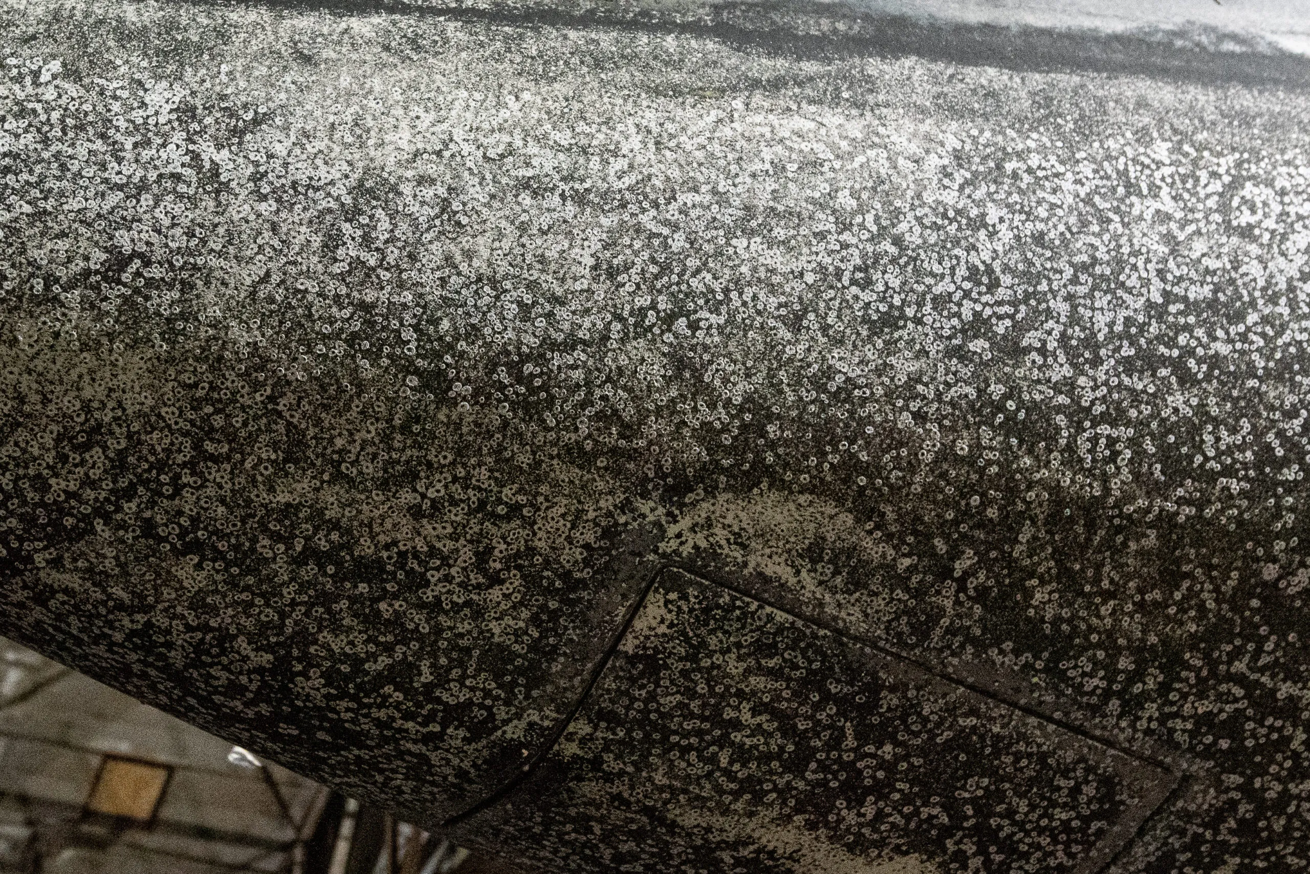 OMG, It’s Full of …