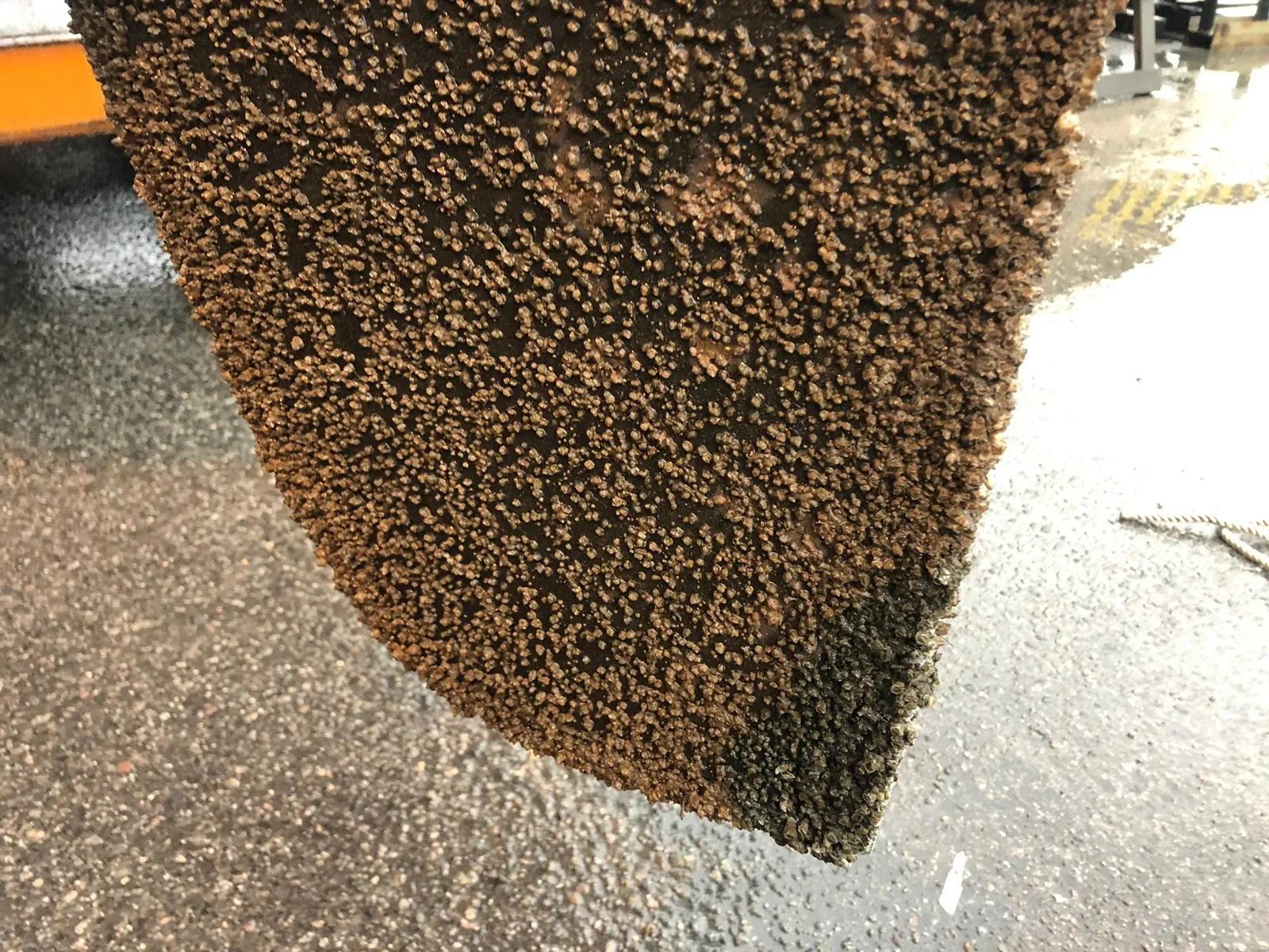 Rudder, covered with barnacles, on our Hanse 388, s/y Charlotte.