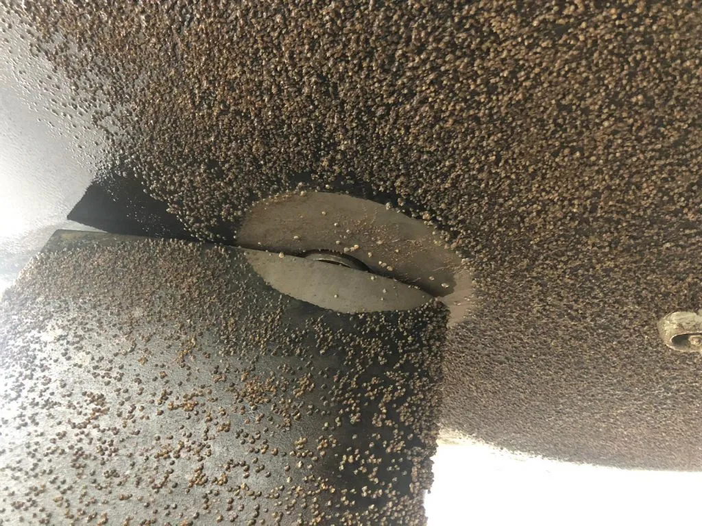 Hanse 388 bottom growth