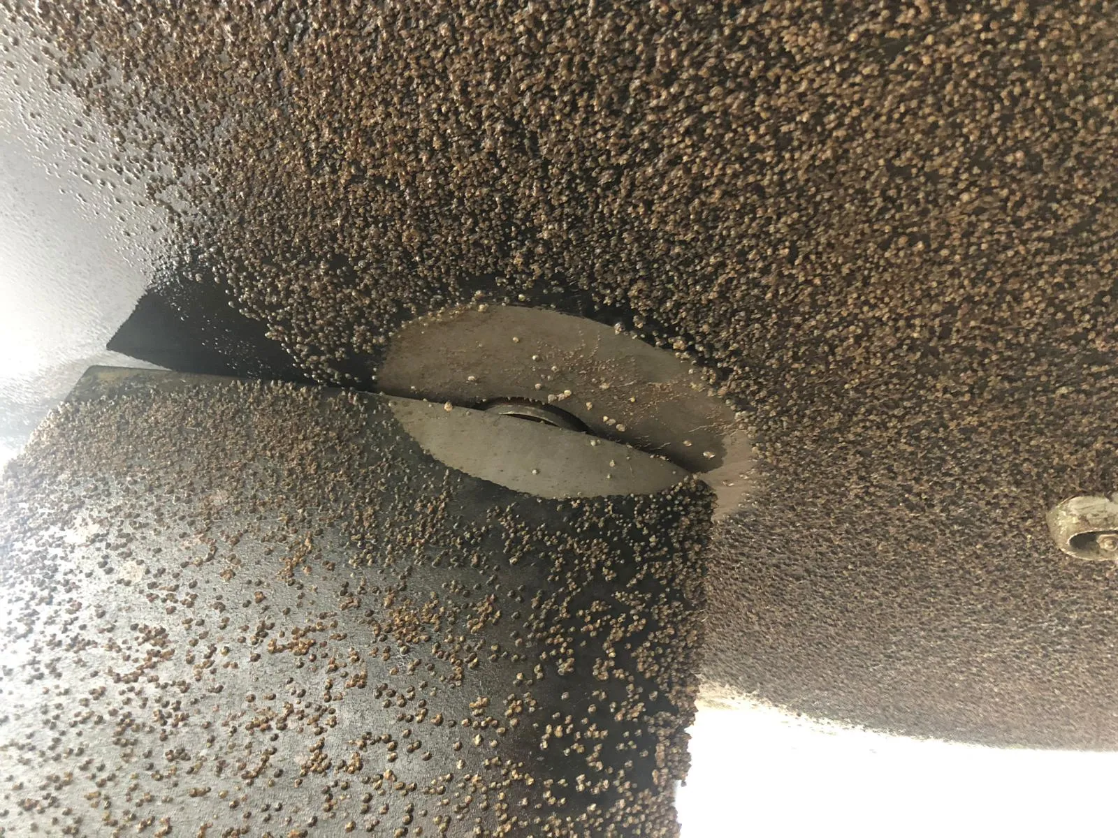 Rudder and bottom of our Hanse 388, covered with barnacles.