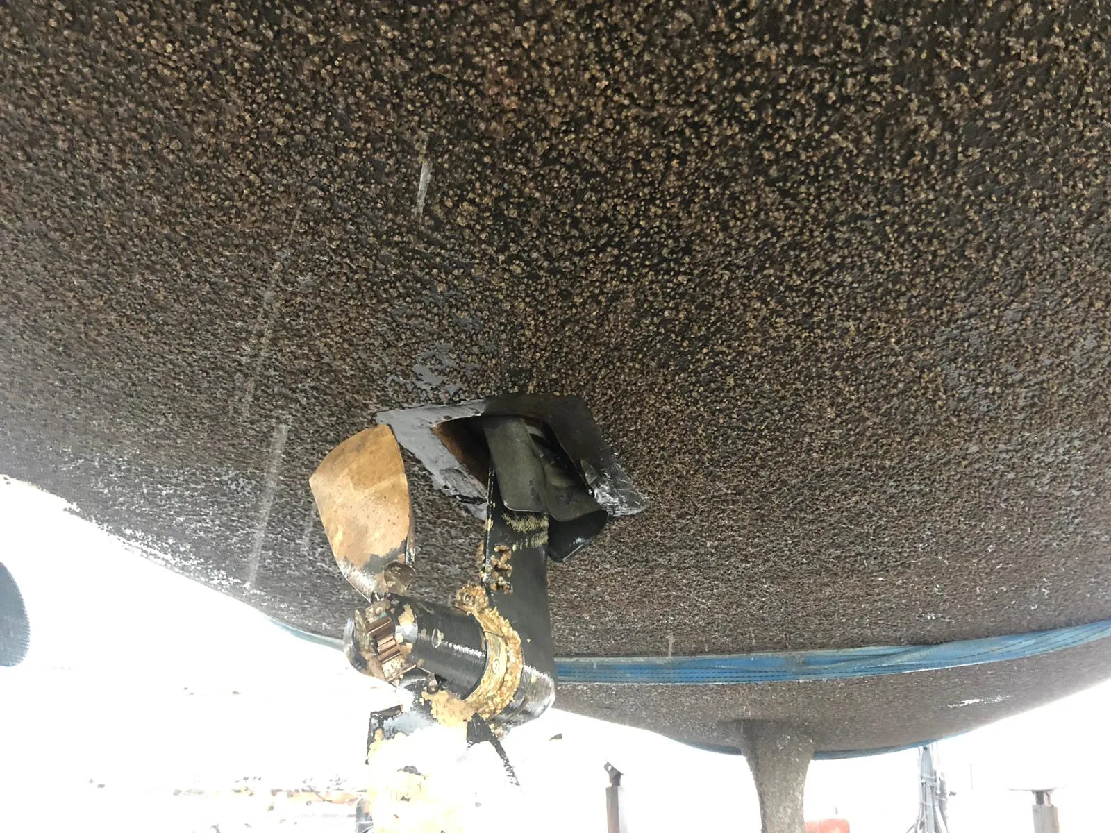 Bottom and sail drive of our Hanse 388, covered with barnacles.